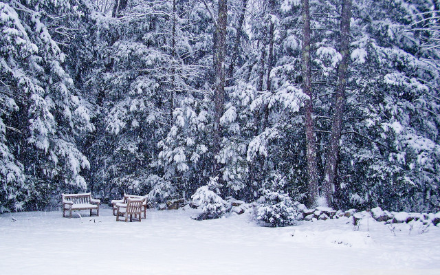 Snowy forest benches trees snowflakes free wallpaper for desktop - medium preview image