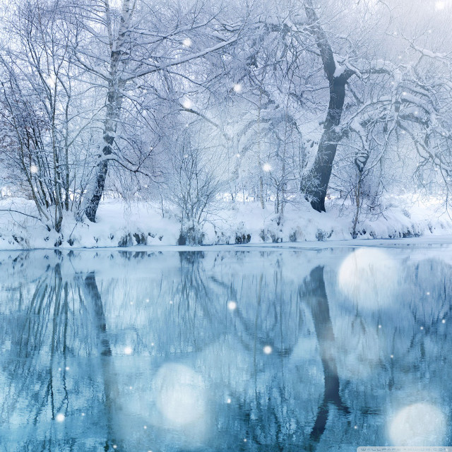 Snowy lake trees snowflakes water #2 free wallpaper for tablet - medium preview image