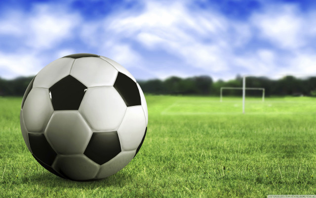 Soccer ball green field goal free wallpaper for desktop - medium preview image