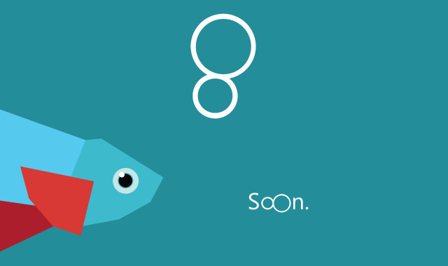 Fish red tail blue tail free wallpaper for desktop - medium preview image