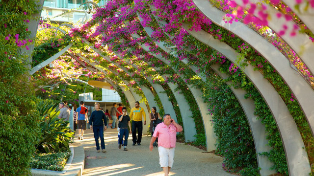 Woman walking flower covered walkway free wallpaper for desktop - medium preview image