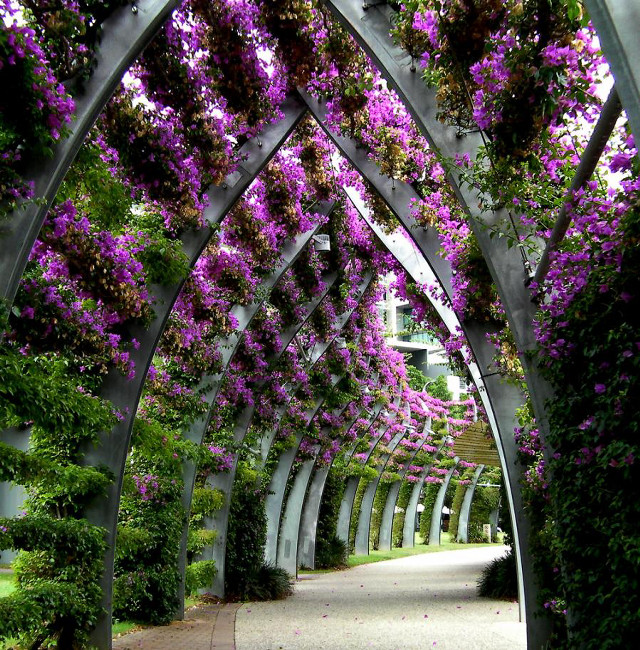 Walkway purple flowers bench middle free wallpaper for tablet - medium preview image