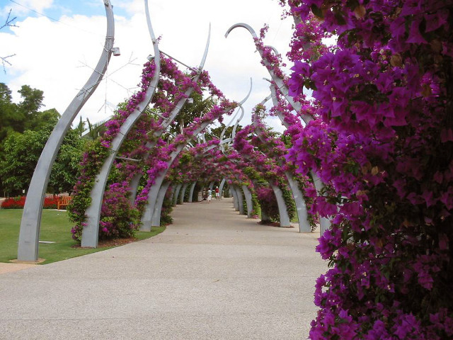 Walkway purple flowers metal arches free wallpaper for desktop - medium preview image
