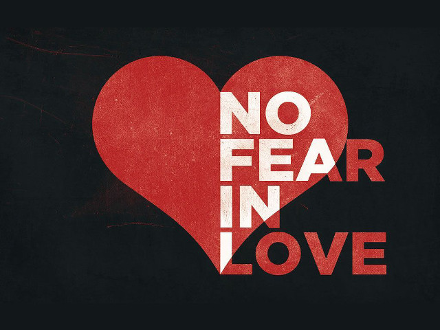 Red heart no fear love free wallpaper for desktop - medium preview image