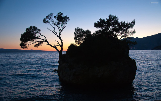 Tree rock water sunset mountain free wallpaper for desktop - medium preview image