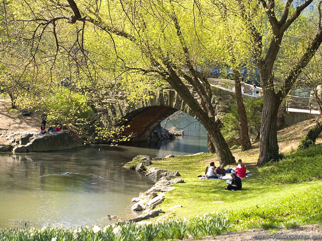 People grass river bridge group free wallpaper for desktop - medium preview image