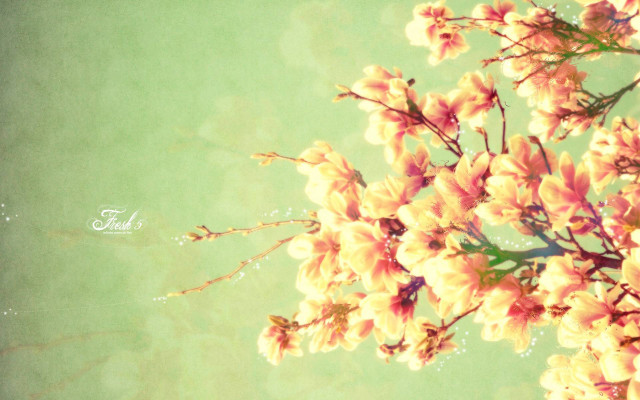 Pink flowers green background tree free wallpaper for desktop - medium preview image