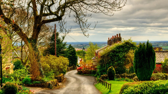 Road tree house cloudy sky free wallpaper for desktop - medium preview image