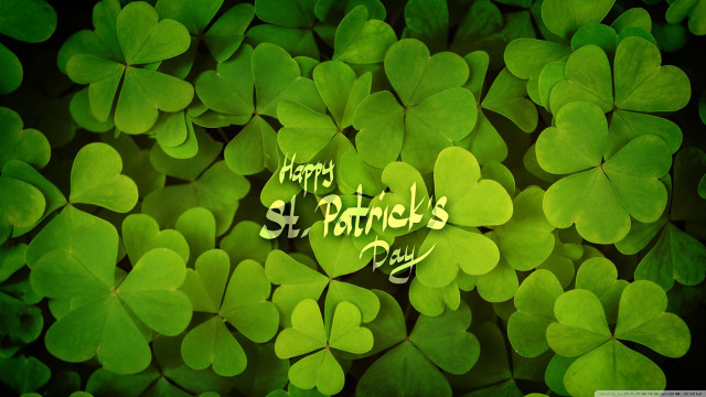 Green shamrocks happy st patricks free wallpaper for desktop - medium preview image