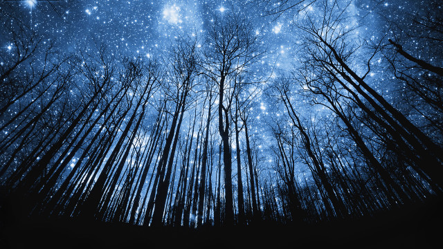 Night sky filled with stars free wallpaper for desktop - medium preview image