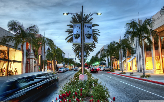 Key blvd palm trees street free wallpaper for desktop - medium preview image