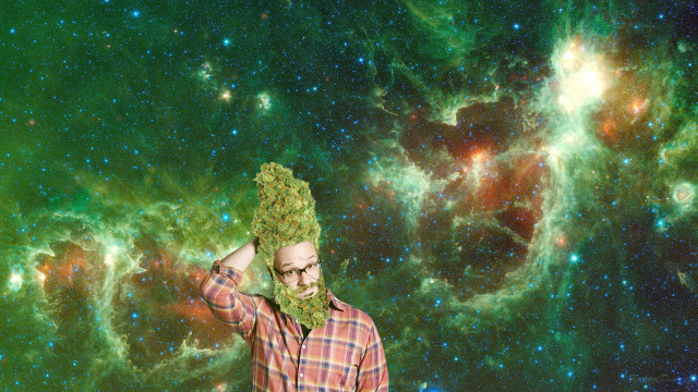 Man holding green stuff large free wallpaper for desktop - medium preview image