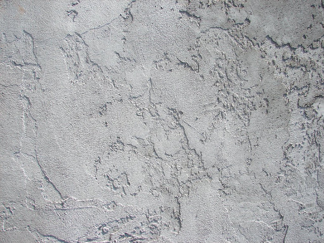 Cement wall paint bird close free wallpaper for desktop - medium preview image