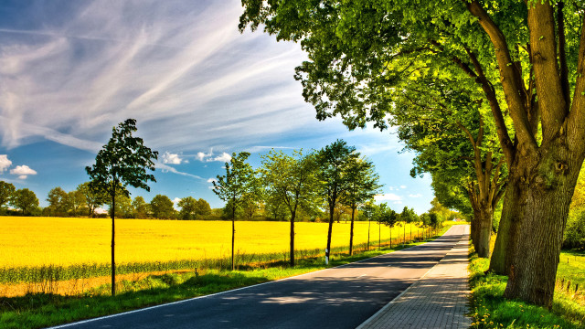 Road fence trees field blue free wallpaper for desktop - medium preview image