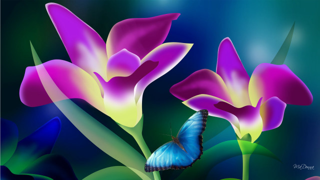 Butterfly purple flower blue background #4 free wallpaper for desktop - medium preview image