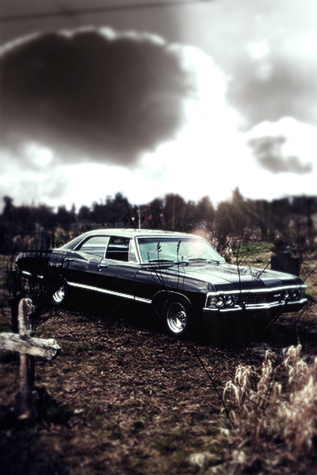 Black car field cross tree free wallpaper for mobile - medium preview image