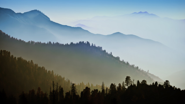 Mountain range trees fog blue free wallpaper for desktop - medium preview image