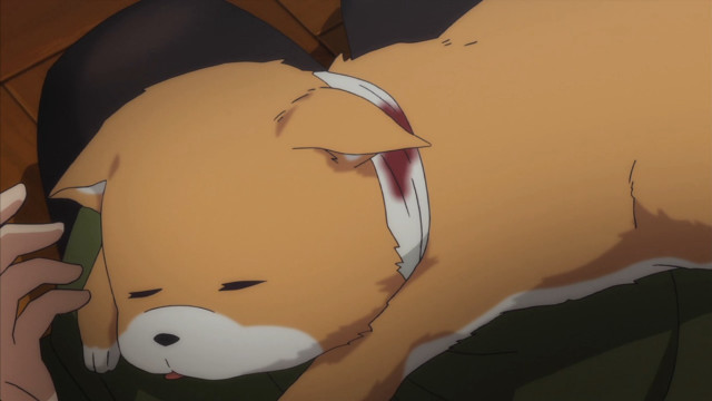 Dog laying head person hand free wallpaper for desktop - medium preview image