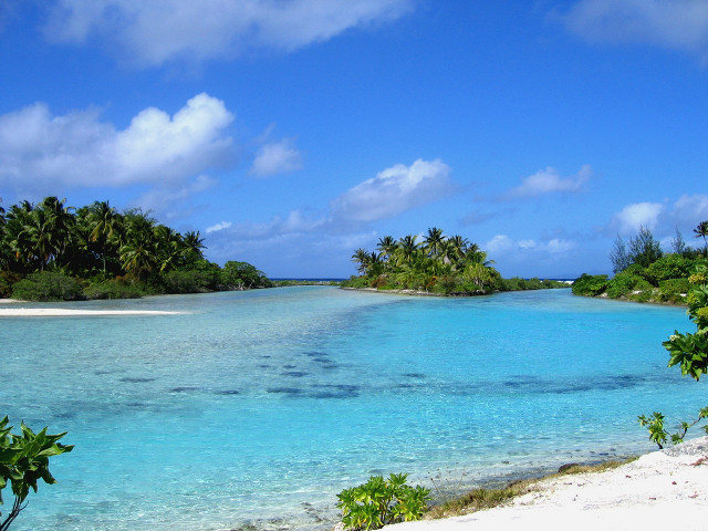 Tropical island palm trees blue #3 free wallpaper for desktop - medium preview image