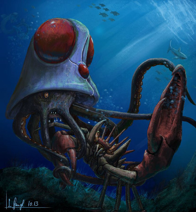 Giant octopus helmet squid background free wallpaper for tablet - medium preview image