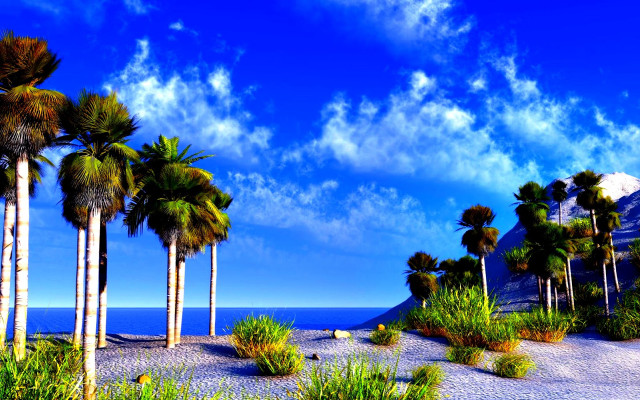 Palm trees beach mountain blue free wallpaper for desktop - medium preview image