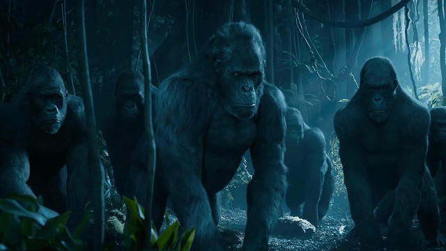 Gorillas walking forest night man free wallpaper for desktop - medium preview image