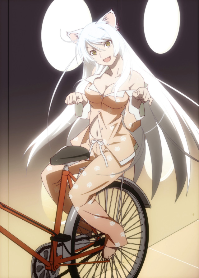 Woman bike cat wheelie cartoon free wallpaper for mobile - medium preview image