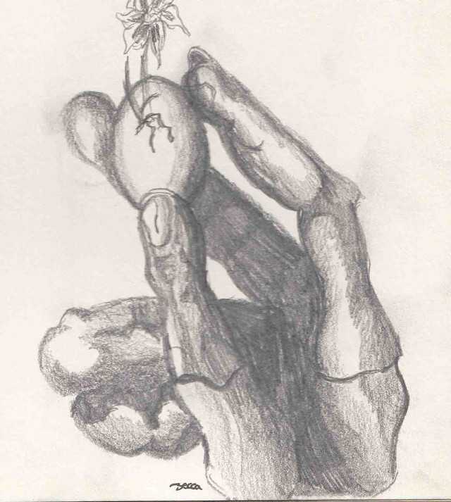 Hand holding flower in palm free wallpaper for tablet - medium preview image