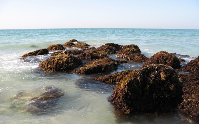 Rocks water beach shoreline ocean free wallpaper for desktop - medium preview image