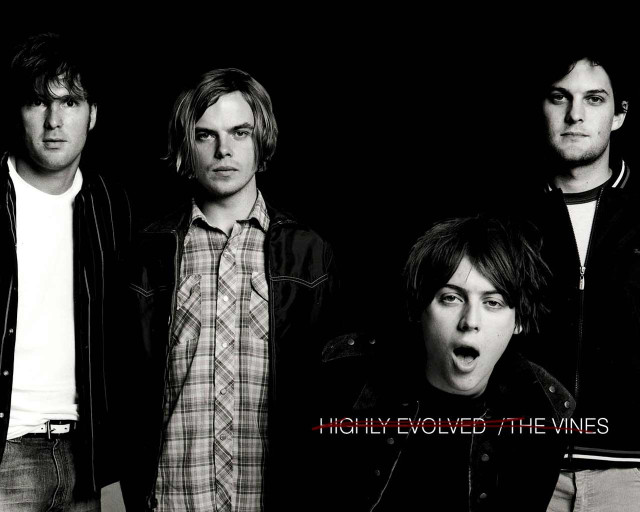 Young men black background vines free wallpaper for desktop - medium preview image