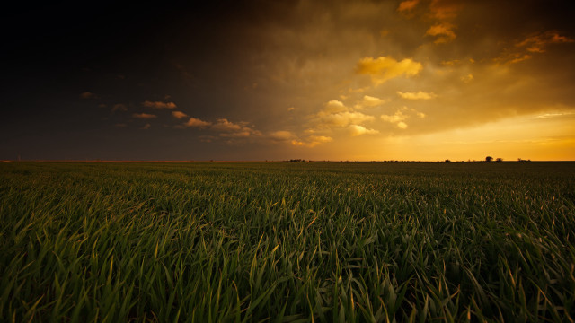 Field grass sky clouds sunbeam free wallpaper for desktop - medium preview image