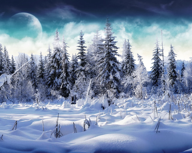 Snowy landscape trees moon sky #3 free wallpaper for desktop - medium preview image