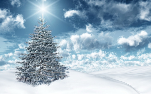 Snowy tree mountain beach sky free wallpaper for desktop - medium preview image