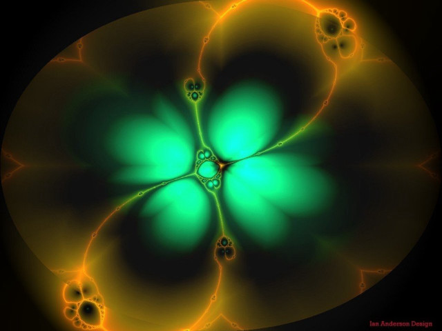 Green yellow flower black background free wallpaper for desktop - medium preview image