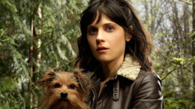 Woman dog forest magical realism free wallpaper for desktop - medium preview image