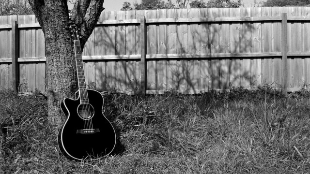 Guitar grass tree backyard fence free wallpaper for desktop - medium preview image