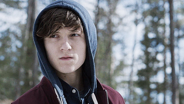 Young man hoodie forest serious free wallpaper for desktop - medium preview image