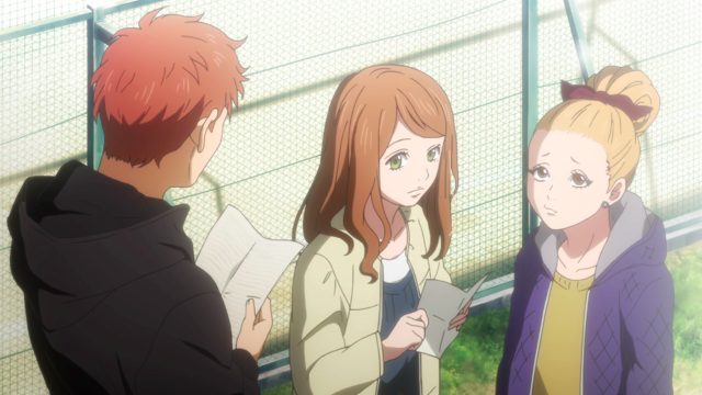 Group people fence grass area free wallpaper for desktop - medium preview image