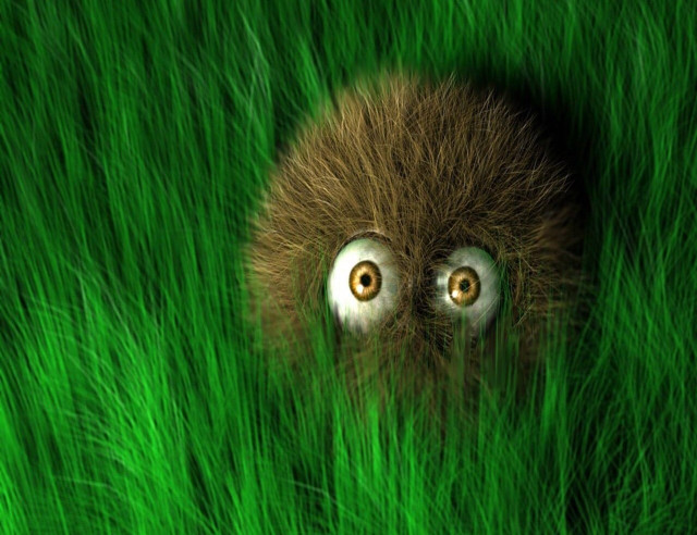 Furry animal hiding grass creepy free wallpaper for desktop - medium preview image