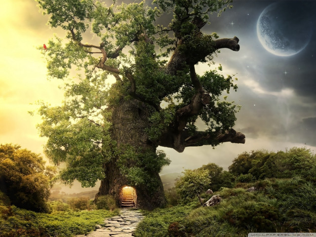 Tree door field grass rocks free wallpaper for desktop - medium preview image