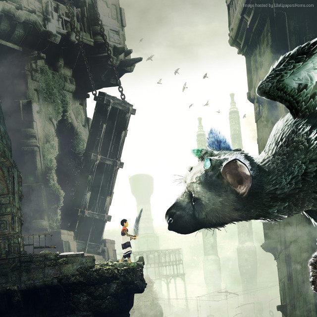 Monkey boy city giant building free wallpaper for tablet - medium preview image