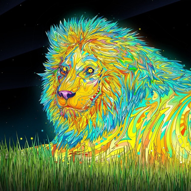 Colorful lion grass night full free wallpaper for tablet - medium preview image