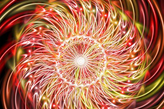 Red yellow flower black background #4 free wallpaper for desktop - medium preview image