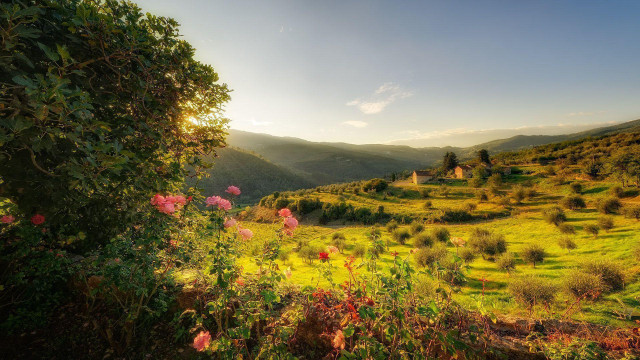 Scenic view valley house flowers free wallpaper for desktop - medium preview image