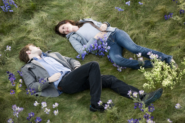 Couple people laying field flowers free wallpaper for desktop - medium preview image