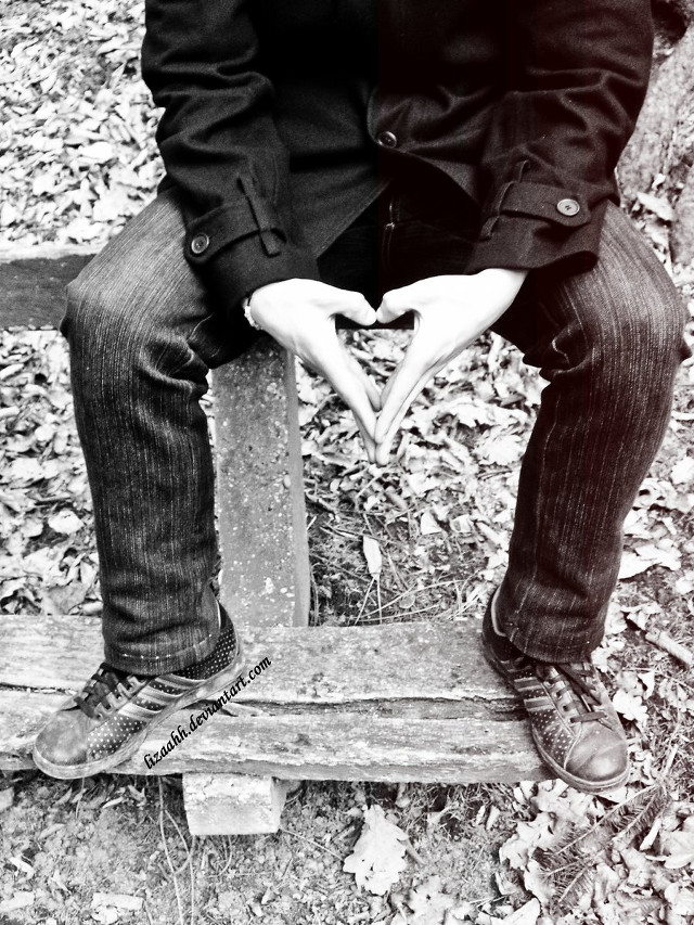 Couple bench woods hands heart free wallpaper for mobile - medium preview image