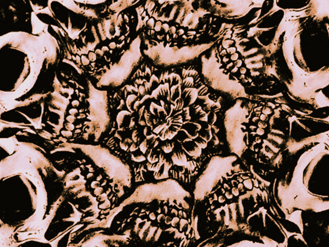 Flower skulls black white red free wallpaper for desktop - medium preview image