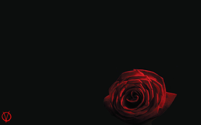 Red rose dark red light free wallpaper for desktop - medium preview image