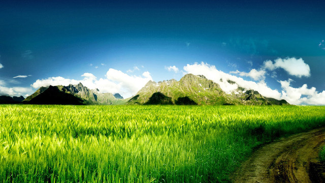 Dirt road green field mountains #2 free wallpaper for desktop - medium preview image