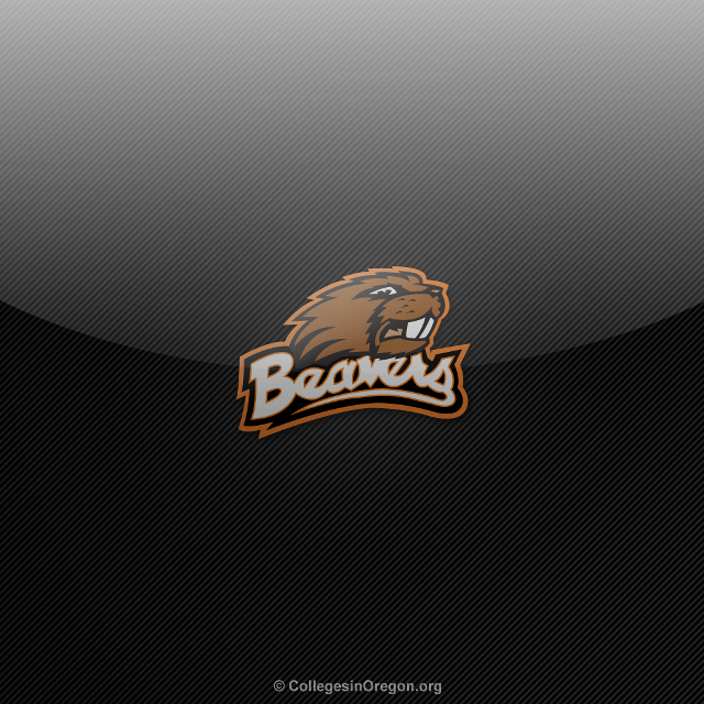 Bear logo black background brown free wallpaper for tablet - medium preview image